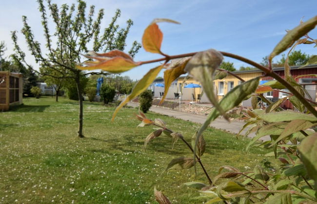 Wunderschoene Ferienwohnung mit Garten - Photo 16