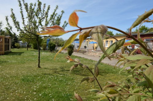 Foto 10 - Wunderschoene Ferienwohnung mit Garten