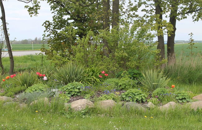 Wiek Apartment With Garden - Photo 25