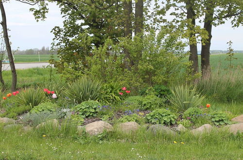 Photo 21 - Wunderschoene Ferienwohnung mit Garten