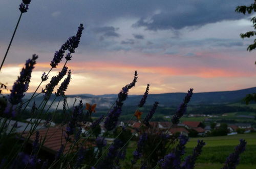 Foto 23 - Flat With Private Terrace in the Bavarian Forest