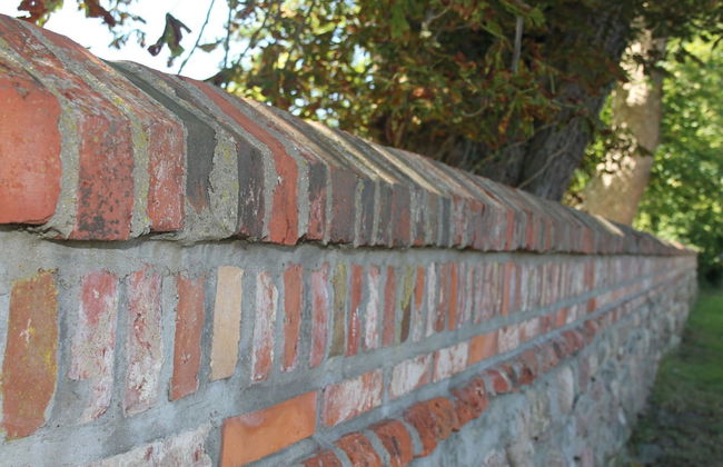 Charmante Wohnung mit Terrasse in Steffenshagen - Foto 26