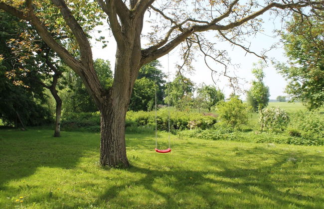 Ferienwohnung in Steffenshagen mit Garten - Foto 26
