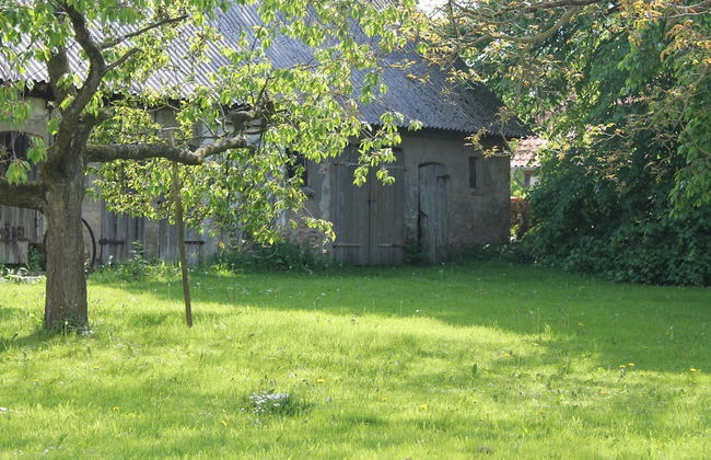 Ferienwohnung in Steffenshagen mit Garten - Foto 30