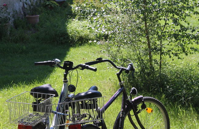 Steffenshagen Vicarage Retreat - Foto 23