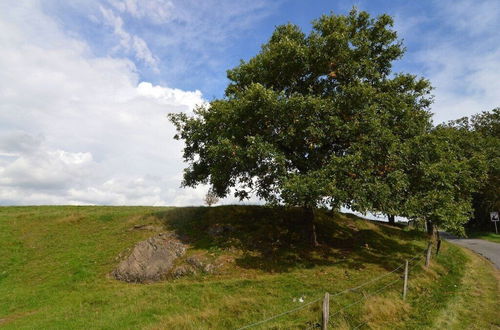 Photo 39 - Comfortable Cottage in Neufmoulin With Meadow View