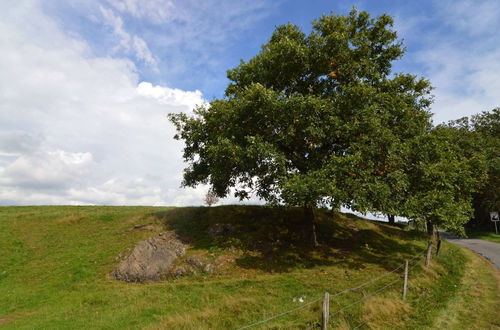 Photo 31 - Comfortable Cottage in Neufmoulin With Meadow View