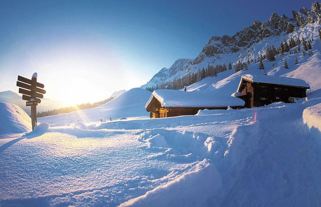 Chalet in Muhlbach am Hochkonig With Sauna - Foto 31