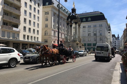 Photo 68 - Heart of Vienna Homes