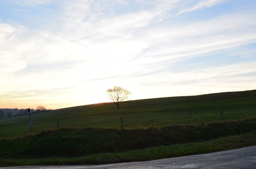 Photo 24 - Very Welcoming and Cosy Chalet, a Peaceful Haven in the Countryside