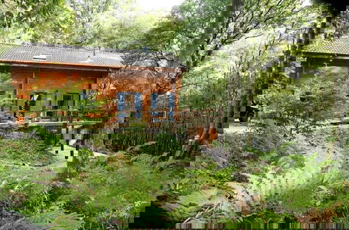 Foto 32 - Cozy, Wooden Chalet With a Microwave, Located in a Forest