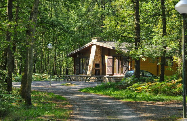 Cozy, Wooden Chalet With a Microwave, Located in a Forest - Foto 21
