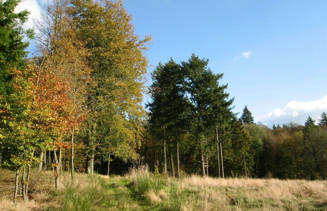 Tastefully Furnished Holiday Residence Located in the Heart of the Ardennes - Foto 26