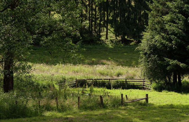 Tastefully Furnished Holiday Residence Located in the Heart of the Ardennes - Foto 24