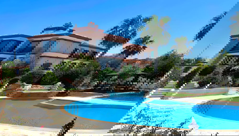 Primary image