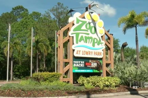 Photo 27 - Tampa Family Bungalows