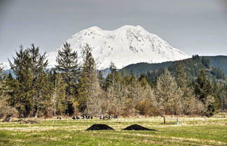 Photo 2 - Serene Washington Escape w/ Deck & Mountain Views