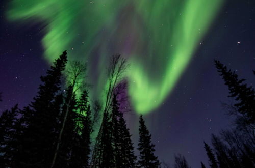 Photo 21 - Riverside Log Cabin: On-site Aurora Viewing