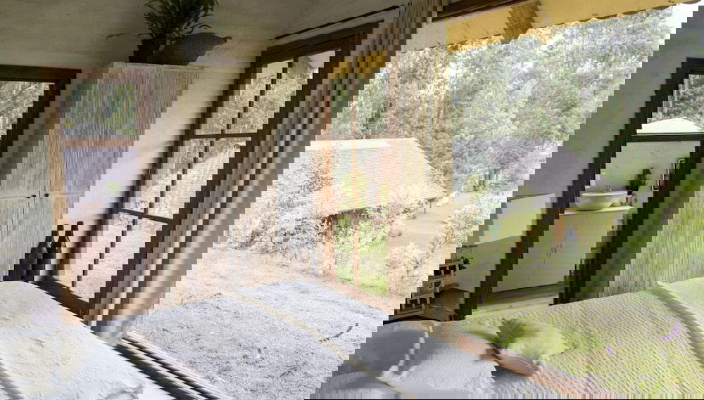 Imagem principal
