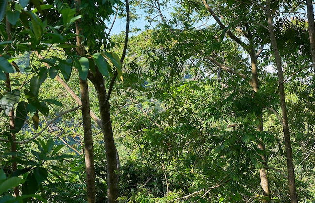 Casa Alba - Foto 28