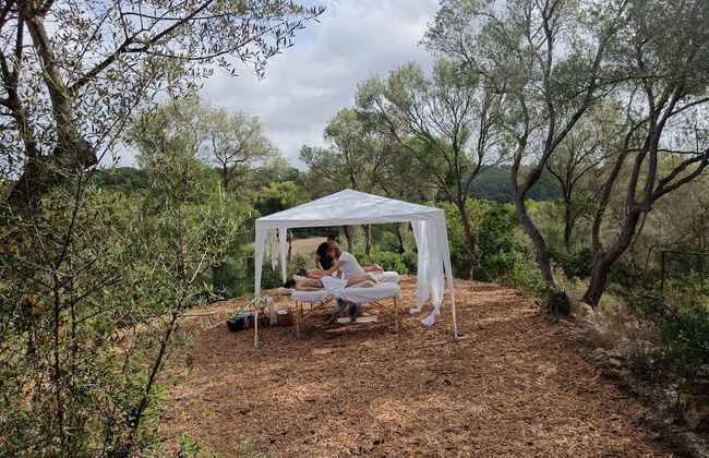 Treurer Olive Grove & Grand House - Adults Only - Foto 76
