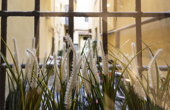 nota-Mi - Domus Ticinese - Foto 20