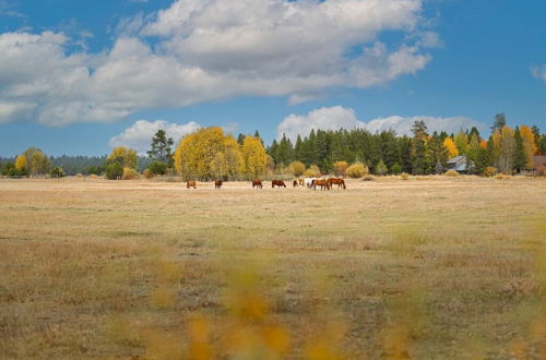 Photo 33 - Jackpine Lane #6 by Village Properties at Sunriver