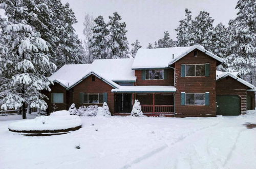 Photo 3 - Beautiful Large Cabin Close to Woodland Lake Park