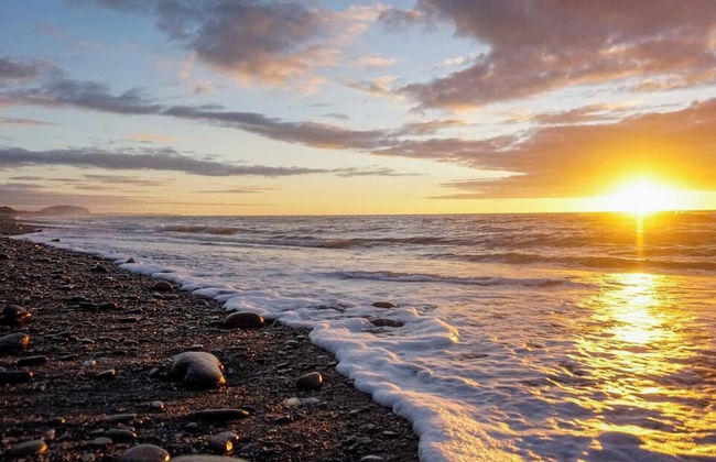 Ross Beach TOP 10 Holiday Park - Foto 75