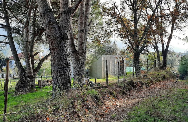 Adore Portugal Bungalow - Foto 10