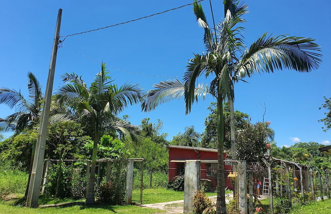Casa Vermelha - Foto 20
