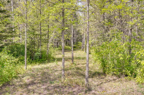 Photo 2 - Pet-friendly Iron River Cabin With Fire Pit