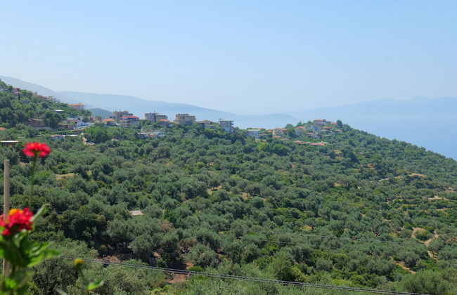Vila Panorama - Photo 19