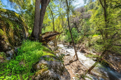 Photo 22 - California Hot Springs Creekside Treehouse Cabin