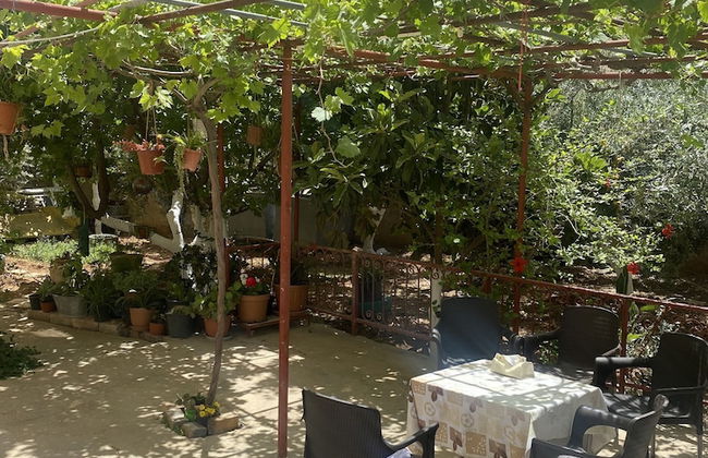Madaba - Photo 10