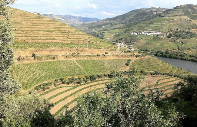 Quinta da Marka - Foto 64