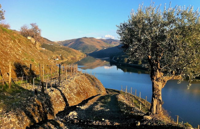 Quinta da Marka - Foto 63