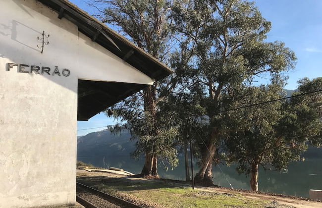 Quinta da Marka - Foto 61