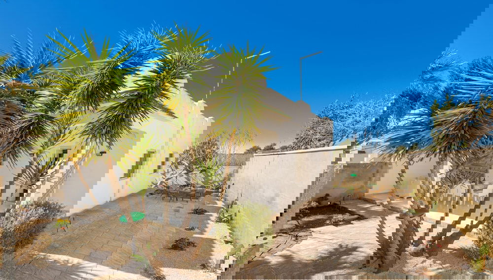 Image principale