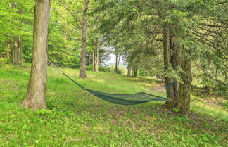 Photo 3 - Great Valley Home w/ On-site Pond, 7 Mi to Skiing