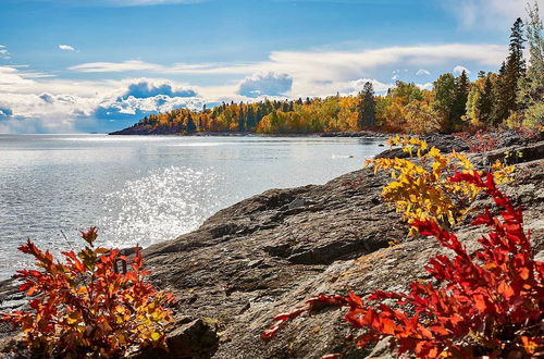 Photo 20 - 'reflections' Cabin on Lake Superior - Near Lutsen