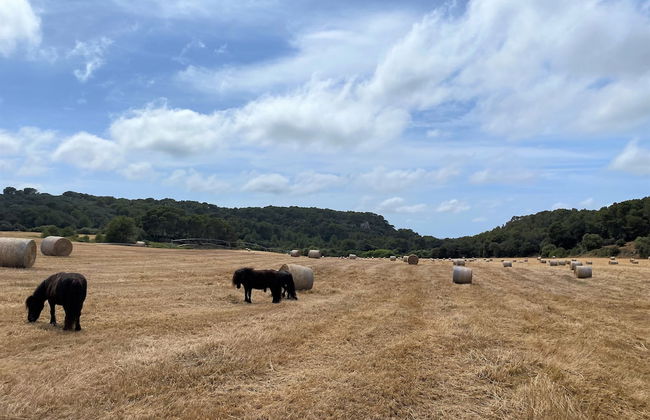 Hotel Llucatx Menorca - Foto 68