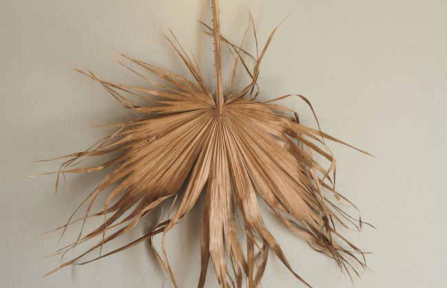 Hotel Llucatx Menorca - Foto 11