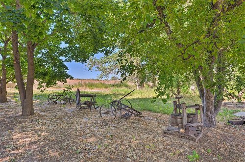 Photo 25 - Caldwell Country Home on Quiet Acreage