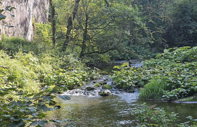 Rose Cottage - Cosy Cottage in Millers Dale - Foto 12