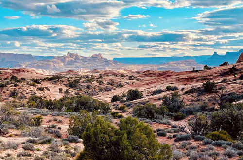 Photo 49 - Entrada at Moab 420