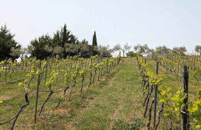 Casale Mon Rahal - Foto 43