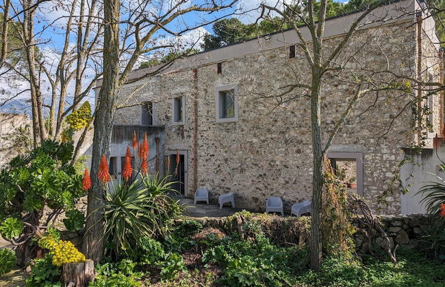 Casale Mon Rahal - Foto 36