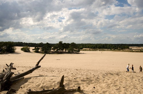 Photo 16 - Chalet Near Loonse and Drunense Duinen