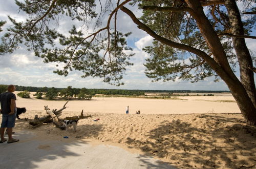 Photo 23 - Chalet Near Loonse and Drunense Duinen